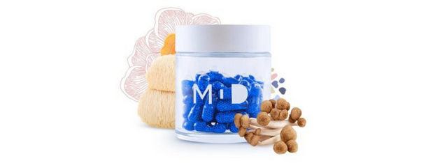 MD